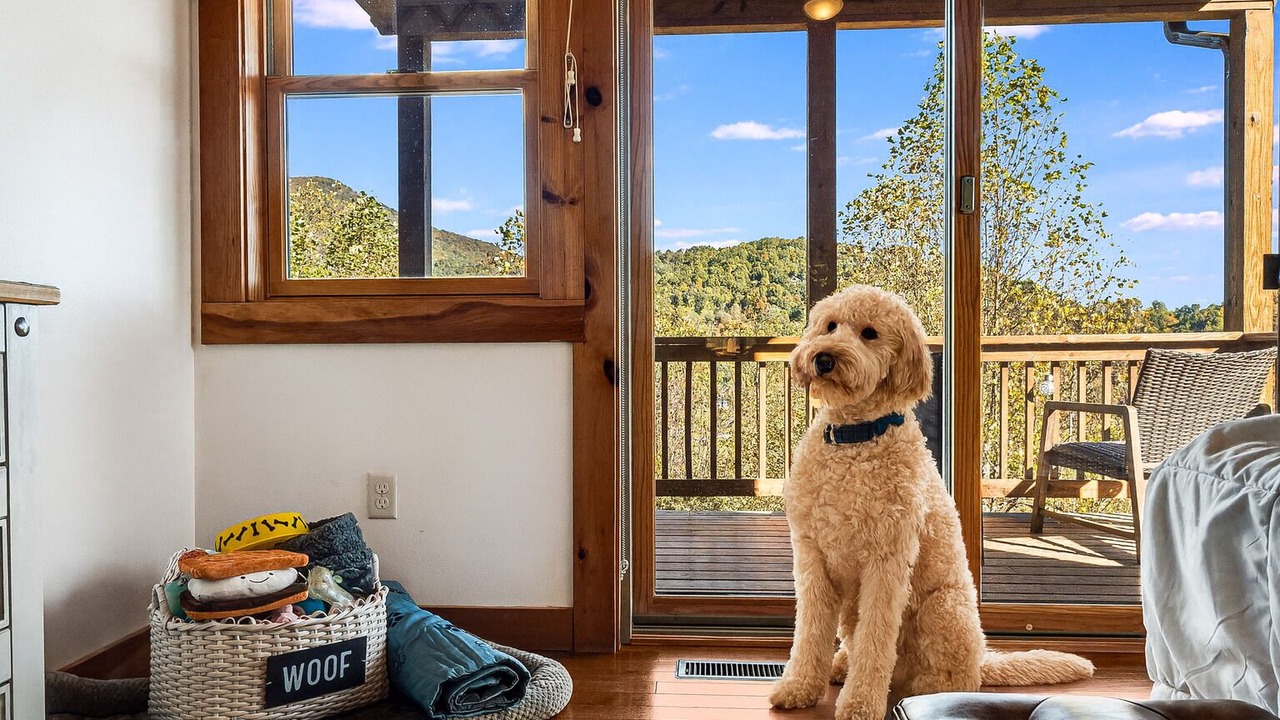 Photo of Others in Maggie Valley