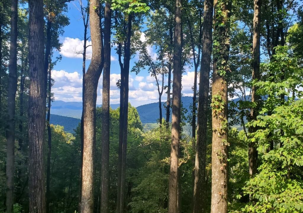 Photo of Others in Walnut Mountain