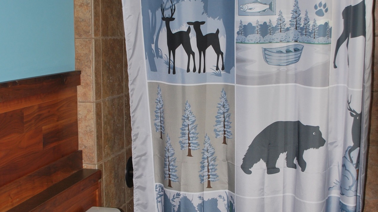 Photo of Bathroom in Sylva