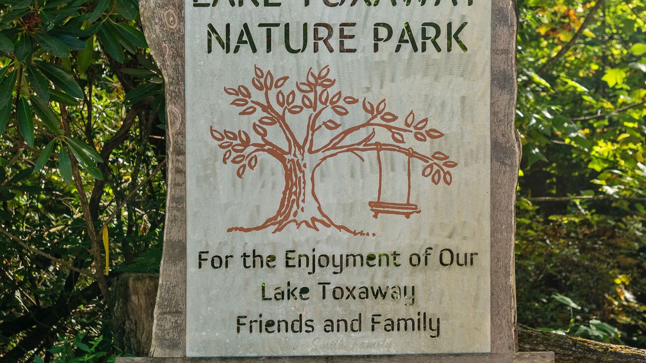 Photo of Outdoor in Lake Toxaway