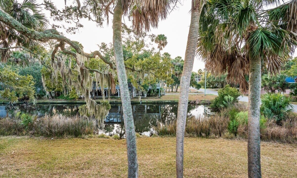 Photo of Others in Edisto Island