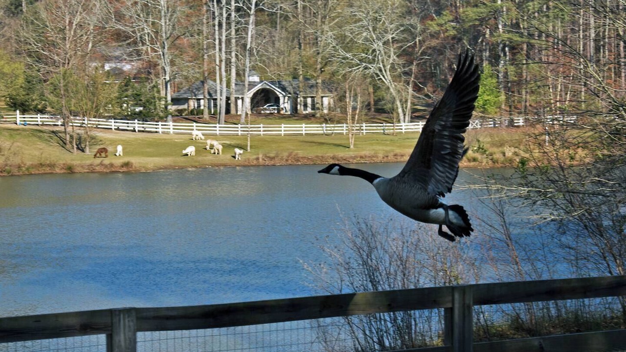 Photo of Outdoor in Marietta