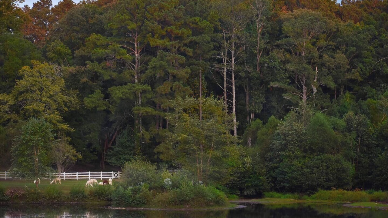 Photo of Outdoor in Marietta