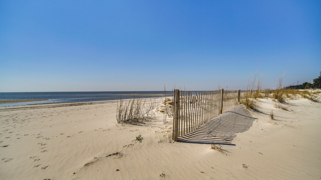 Photo of Others in Gulfport
