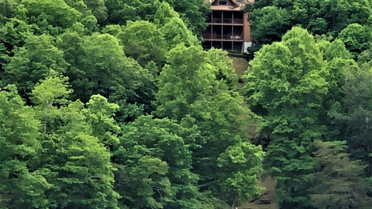 Photo of Outdoor in Tuckasegee