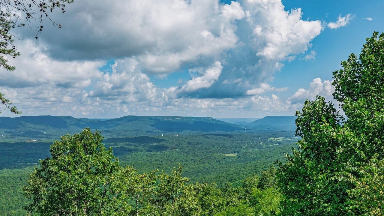 Photo of Others in Mentone