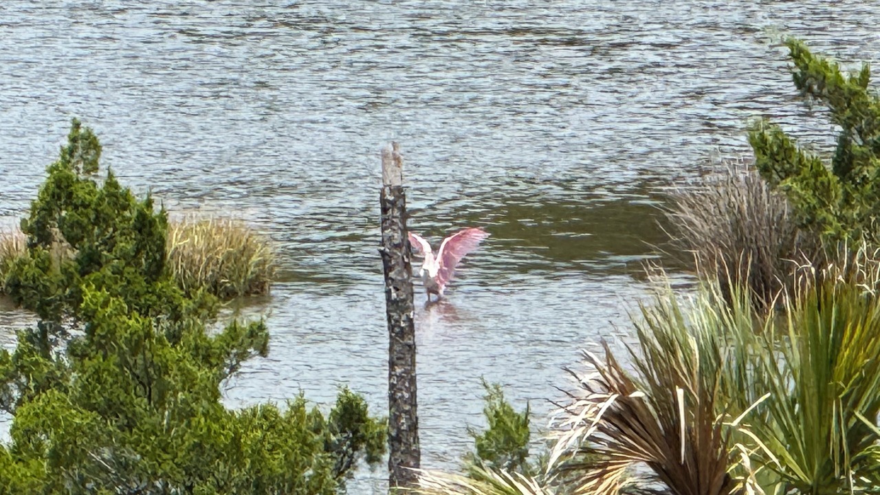 Photo of Others in West Beach