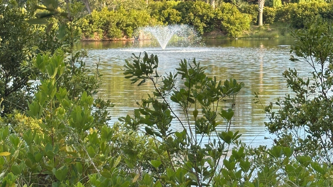 Photo of Outdoor in West Beach