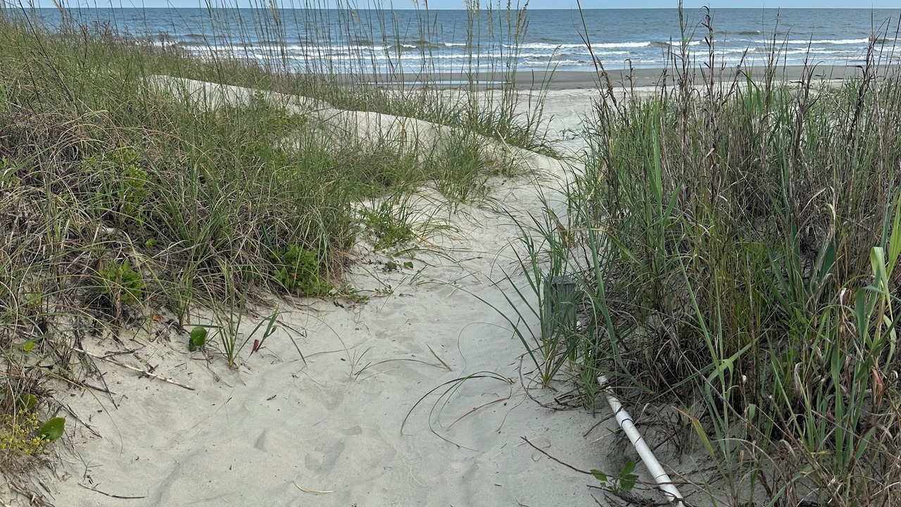 Photo of Others in West Beach