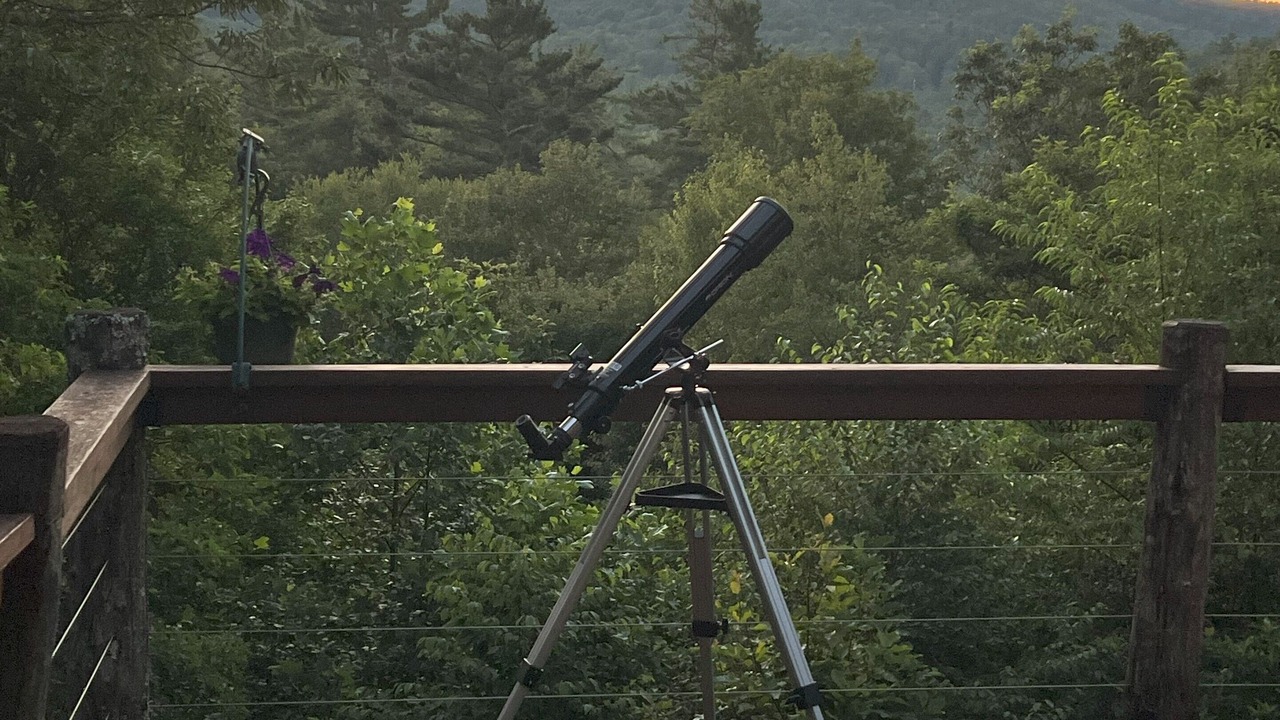 Photo of Others in Newland