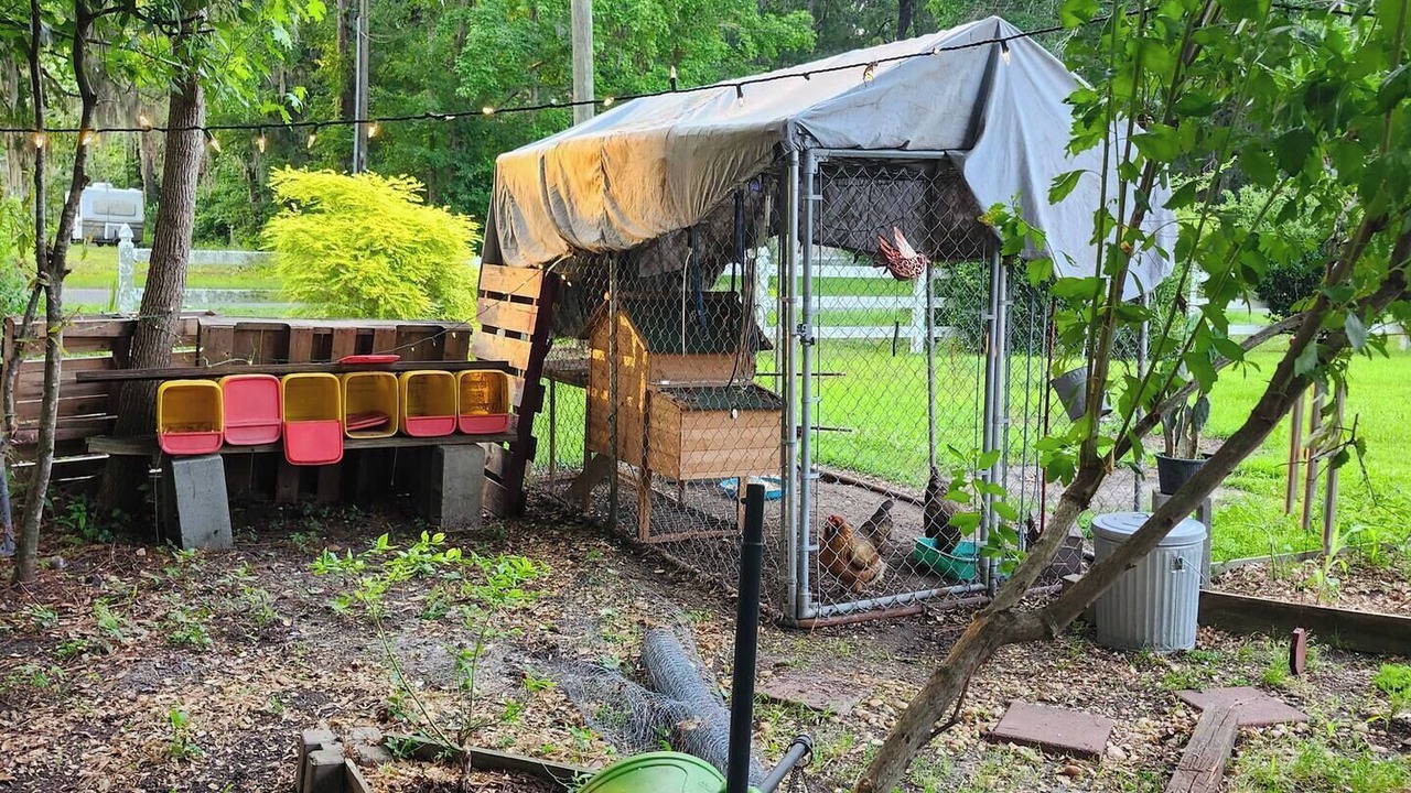 Photo of Outdoor in Brunswick