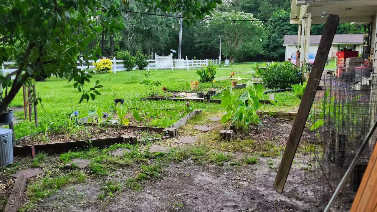 Photo of Outdoor in Brunswick