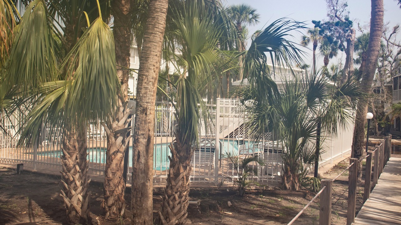 Photo of Outdoor in Holmes Beach