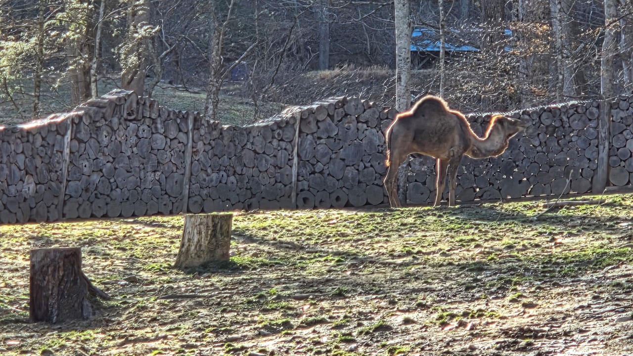 Photo of Others in Marshall