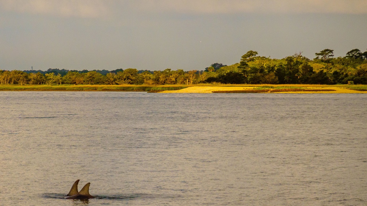 Photo of Others in Seabrook Island