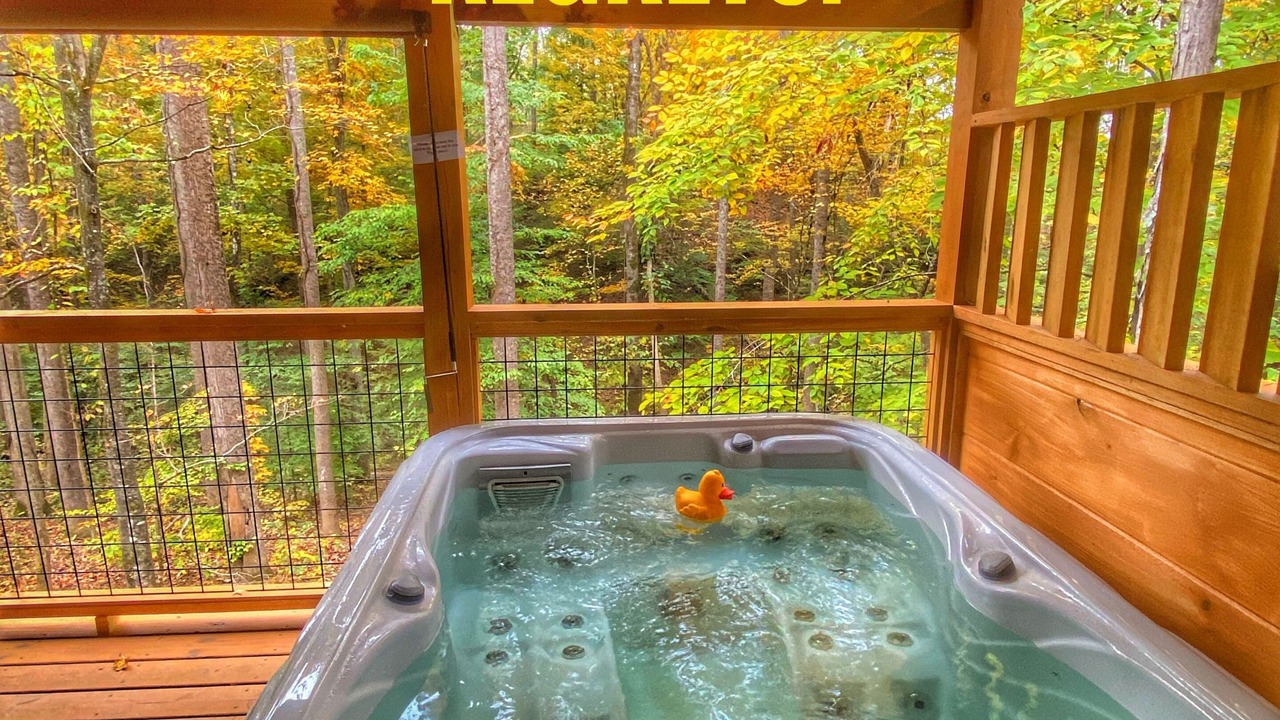 Photo of Outdoor in Sevierville