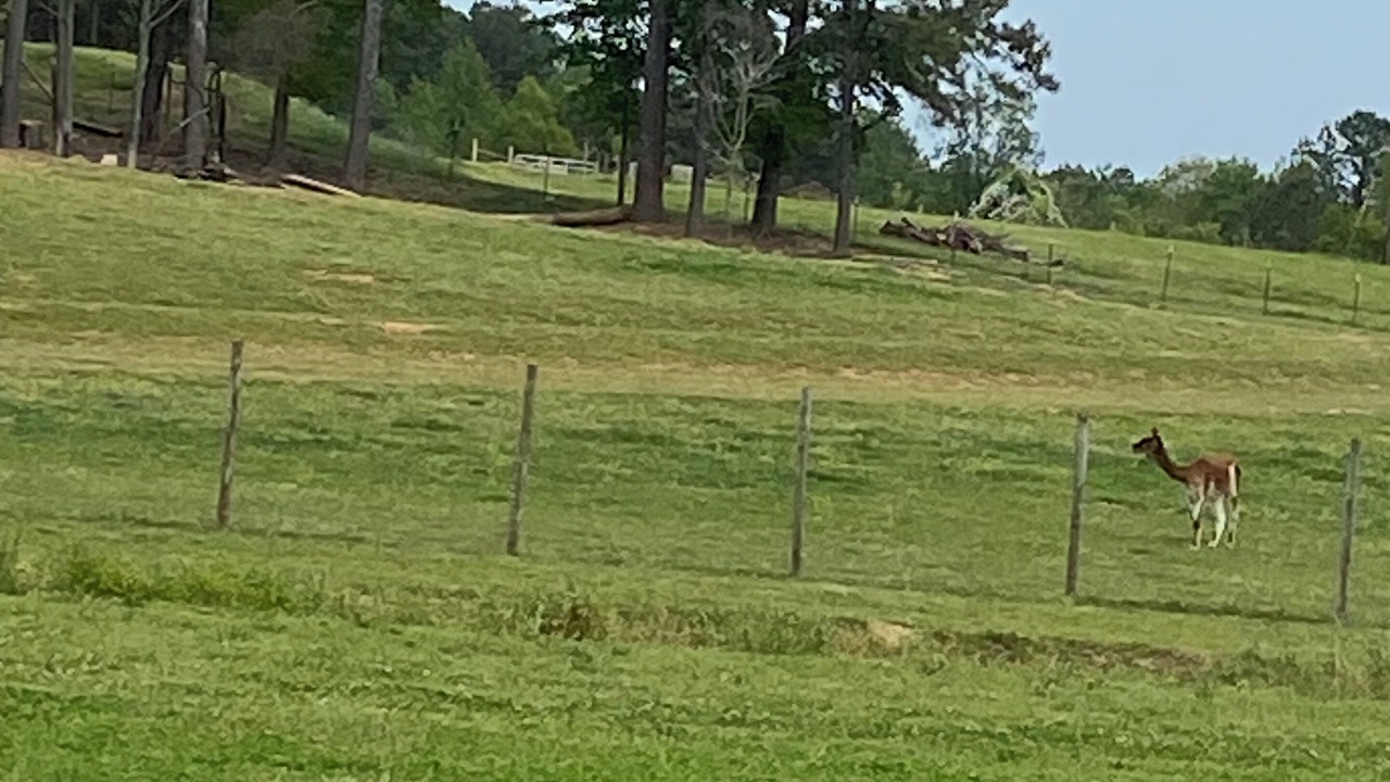 Photo of Others in Cullman