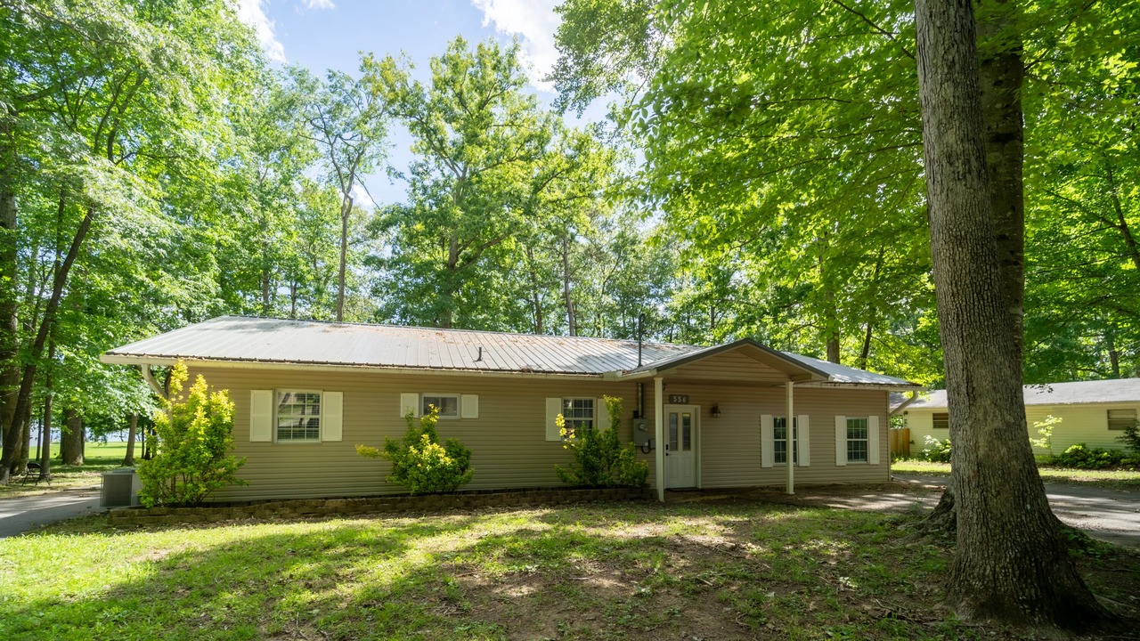 Photo of Outdoor in Dandridge