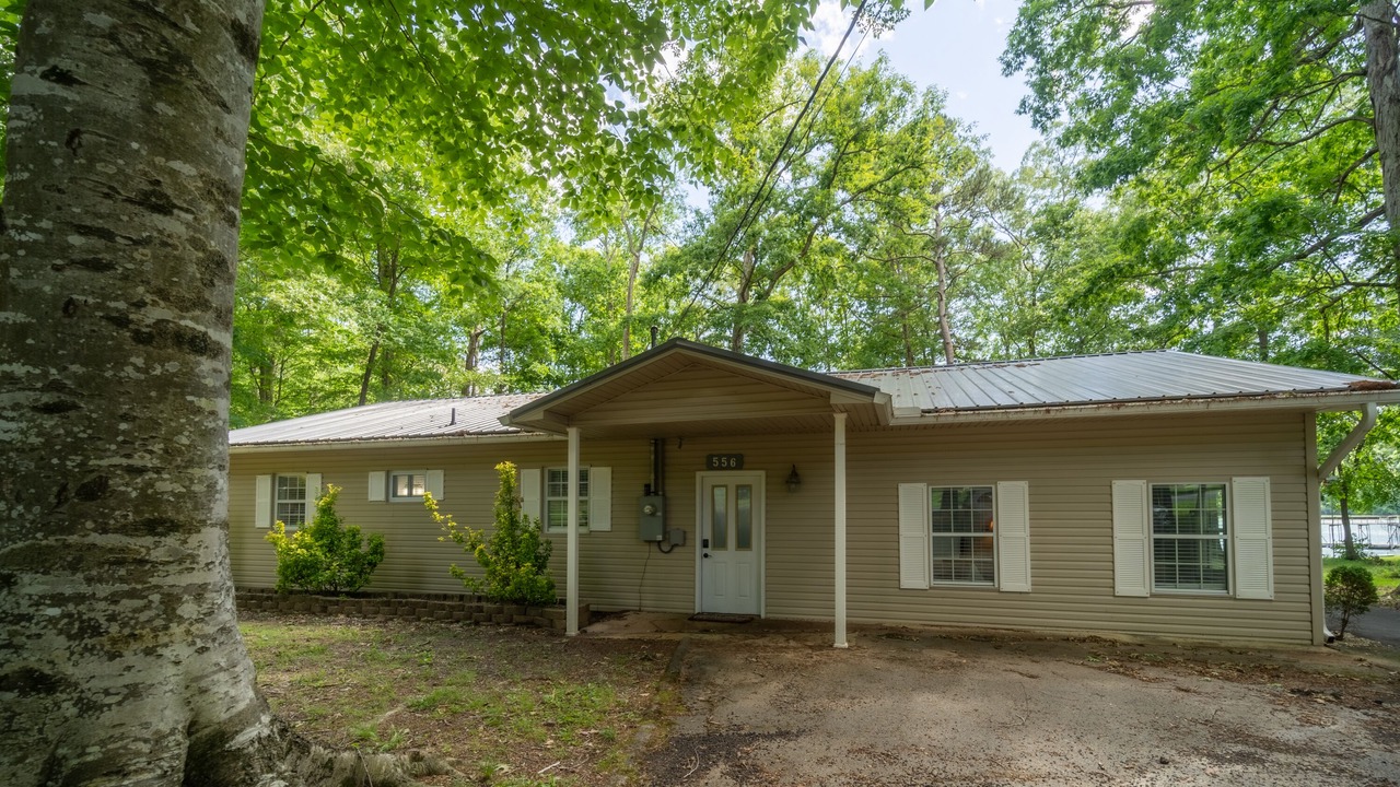 Photo of Outdoor in Dandridge