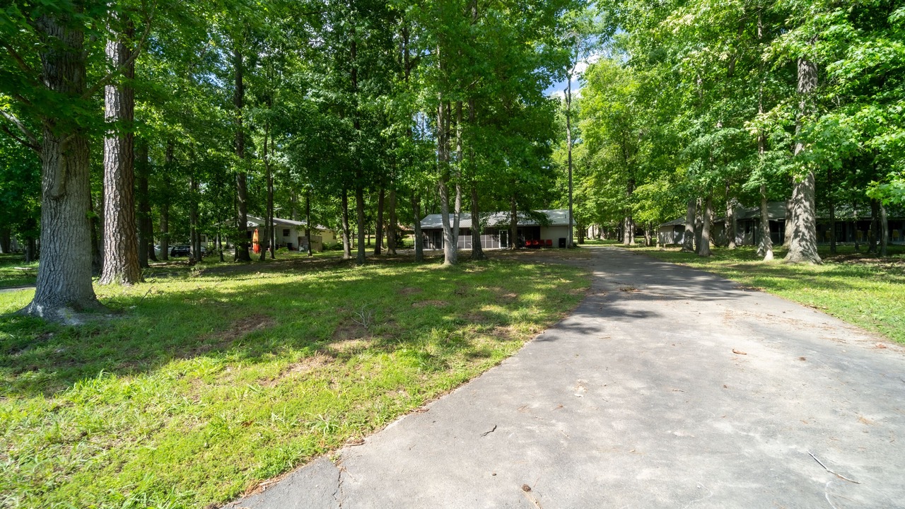 Photo of Outdoor in Dandridge