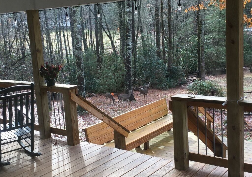 Photo of Patio Balcony in Cedar Mountain