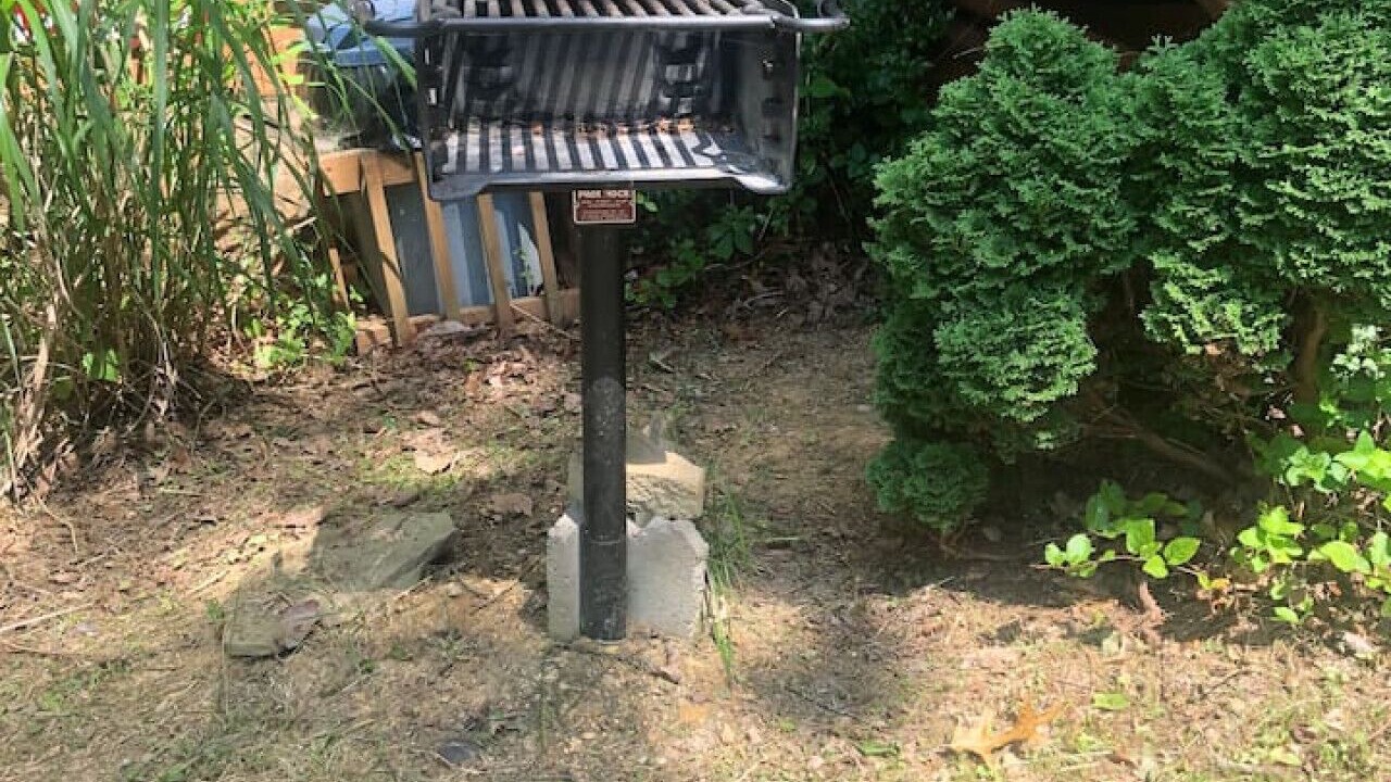 Photo of Outdoor in Cosby
