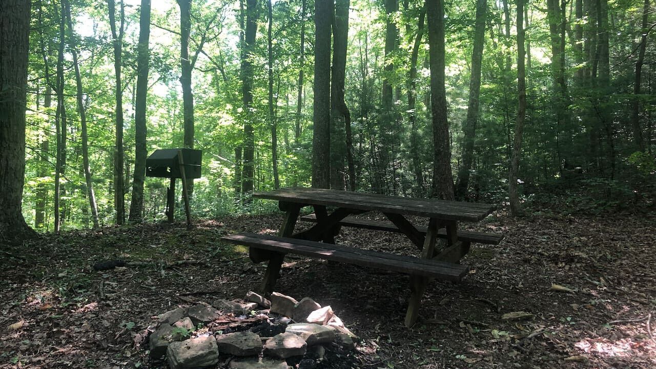 Photo of Outdoor in Cosby