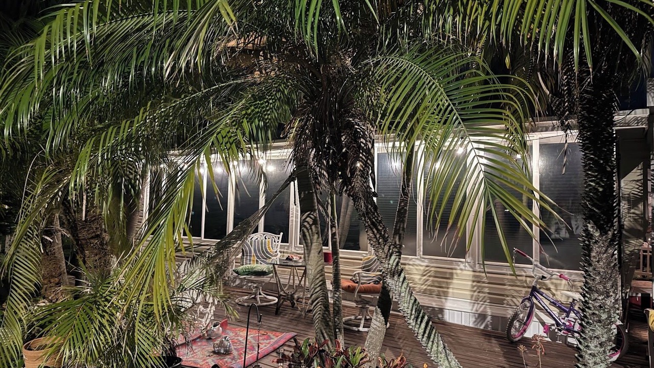 Photo of Patio Balcony in Palm Harbor