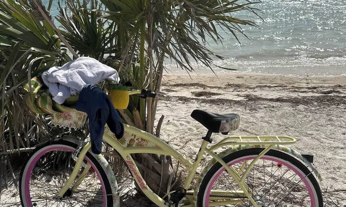 Photo of Others in Palm Harbor