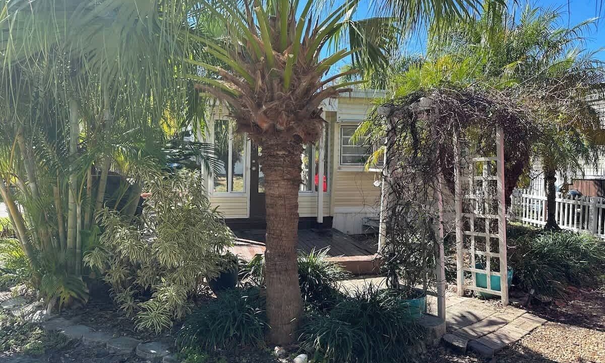 Photo of Outdoor in Palm Harbor