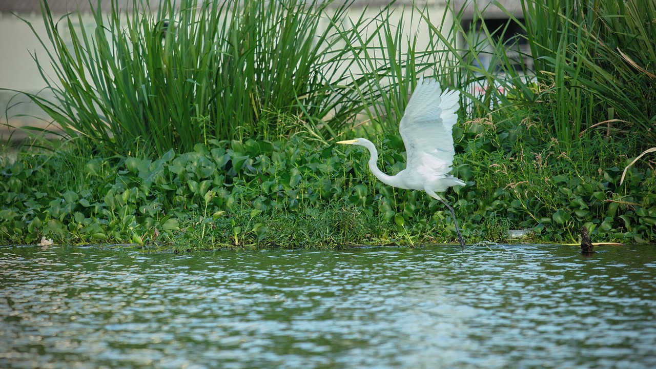 Photo of Others in Goodsprings
