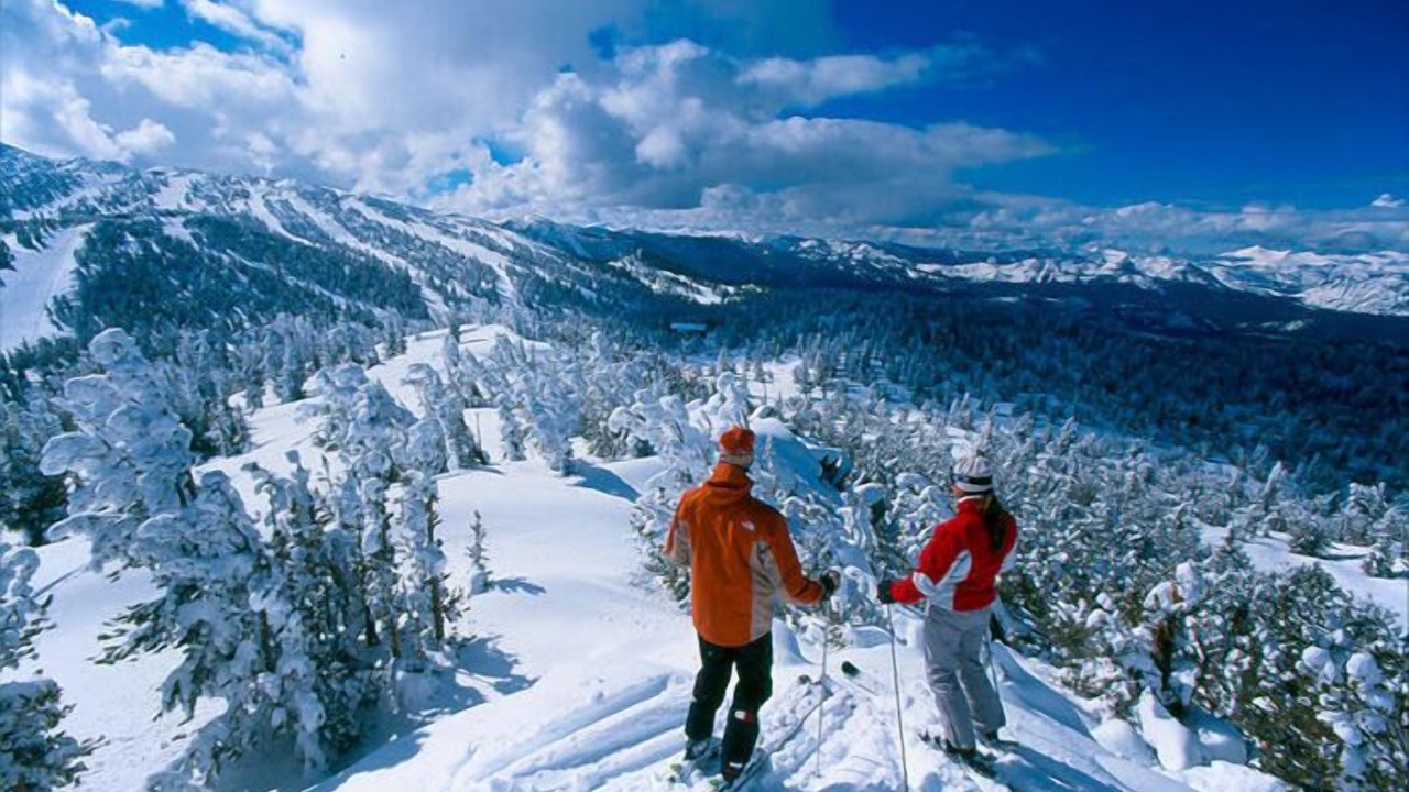 Photo of Others in Tahoe Paradise