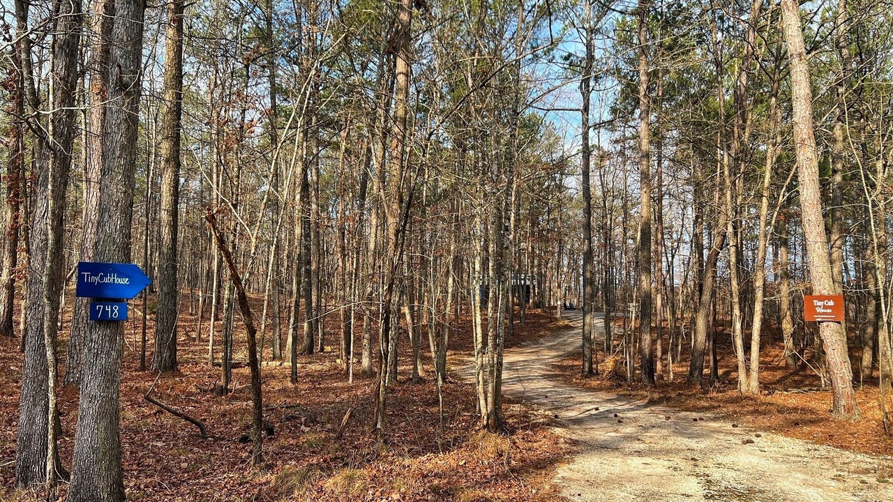 Photo of Others in Mentone