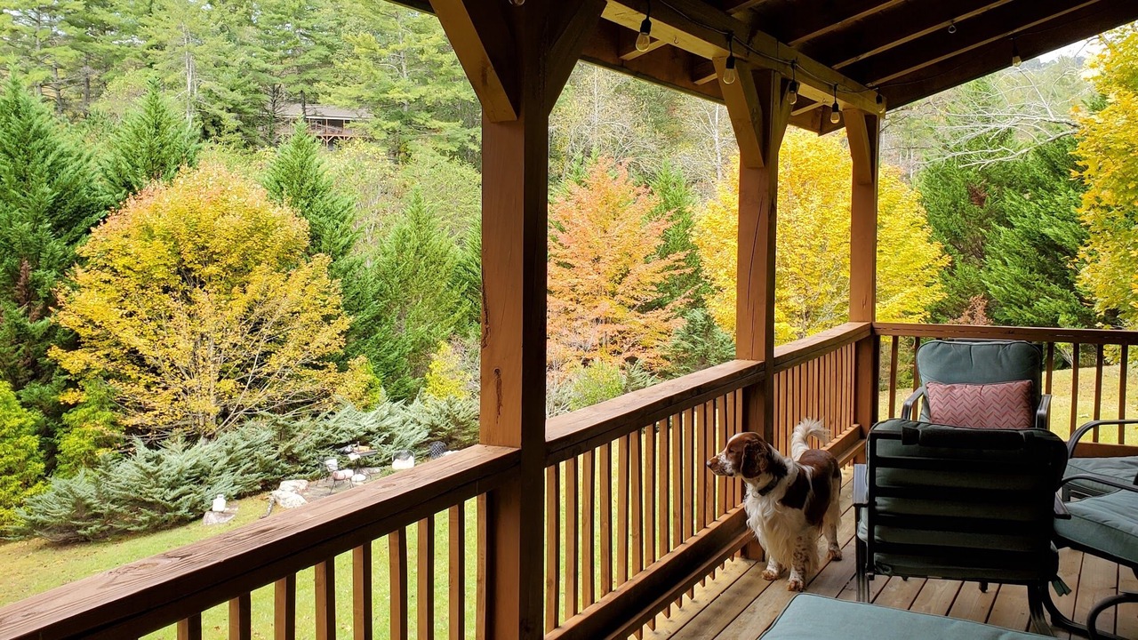 Photo of Outdoor in Mars Hill
