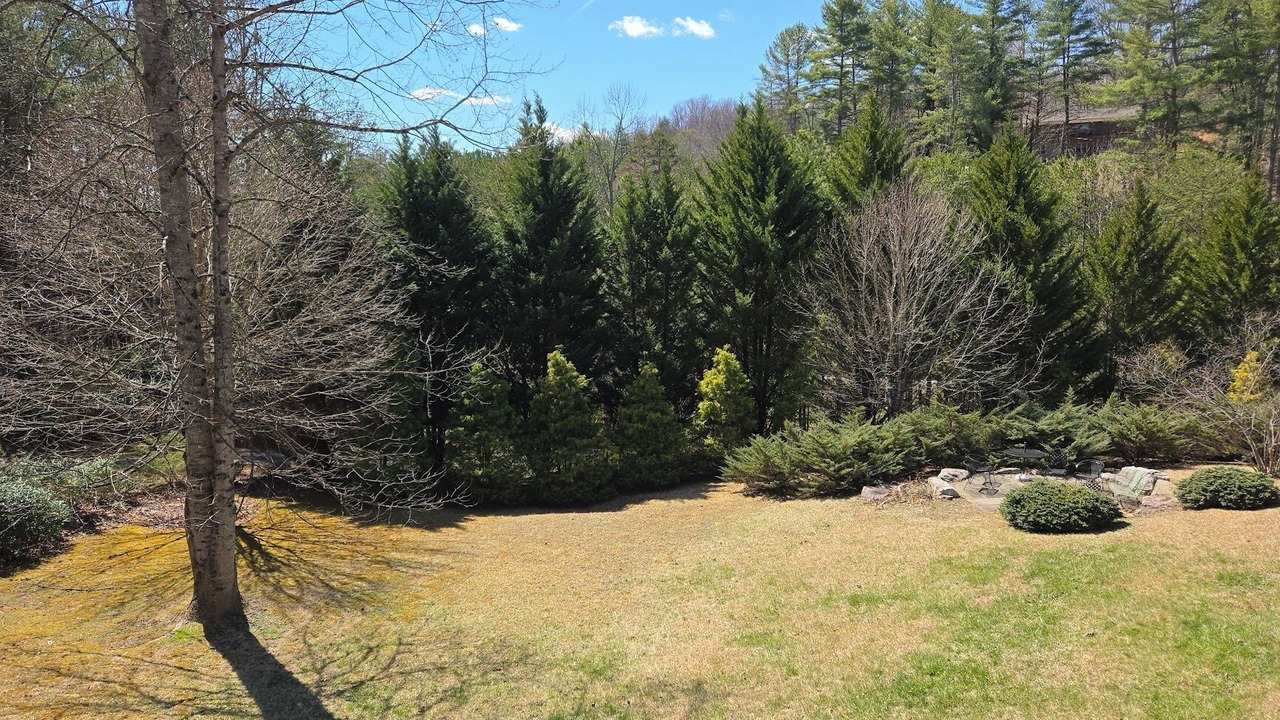 Photo of Outdoor in Mars Hill