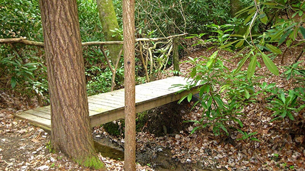 Photo of Outdoor in Lake Toxaway