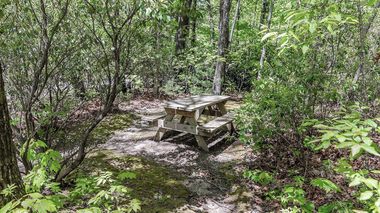 Photo of Outdoor in Lake Toxaway