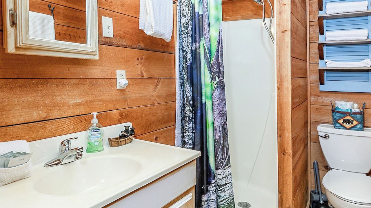 Photo of Bathroom in Lake Toxaway