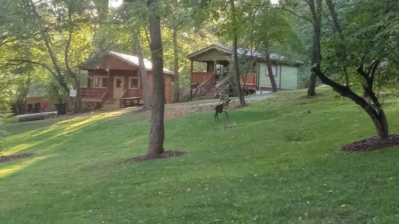 Photo of Outdoor in Waynesville