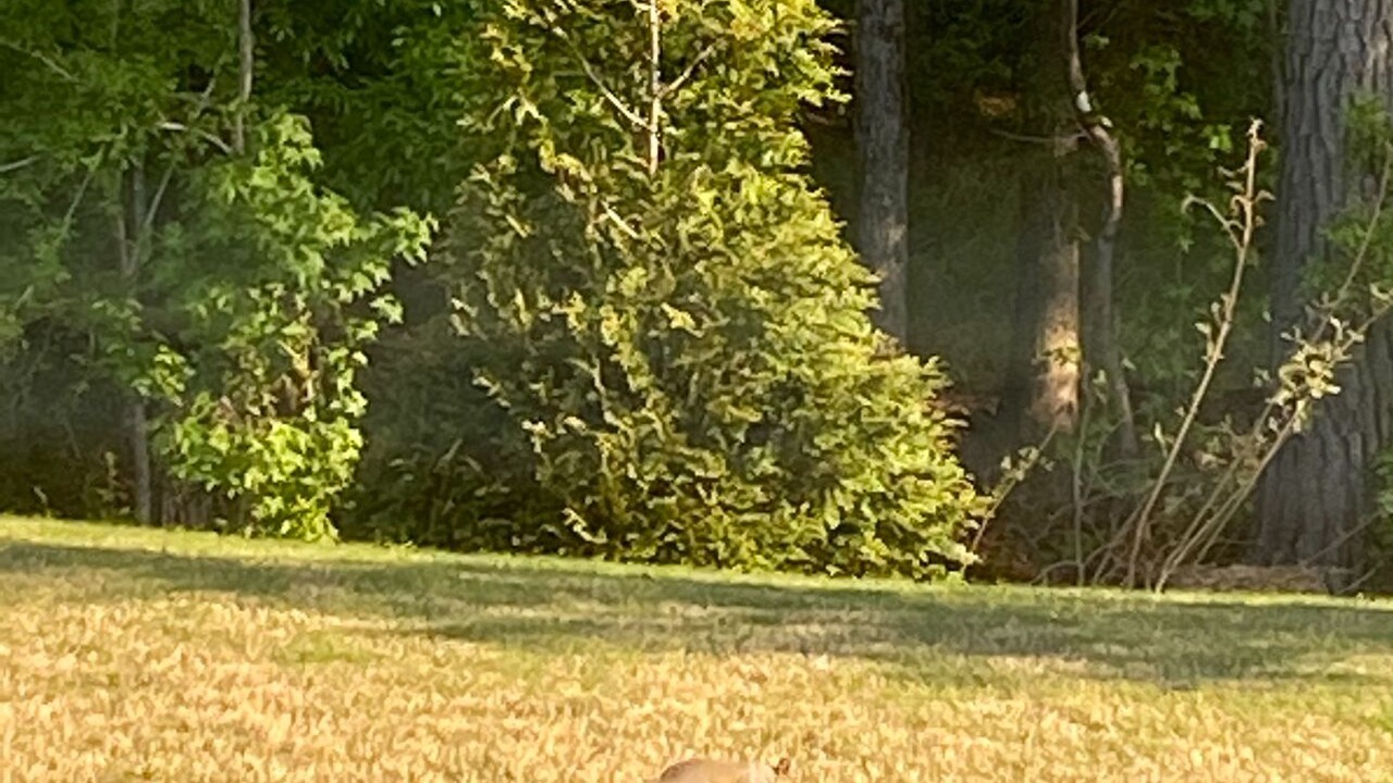 Photo of Others in Grovetown