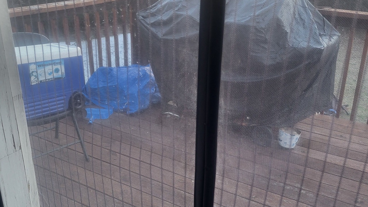 Photo of Outdoor in Ellenwood