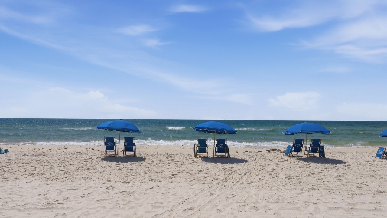 Photo of Others in Orange Beach East