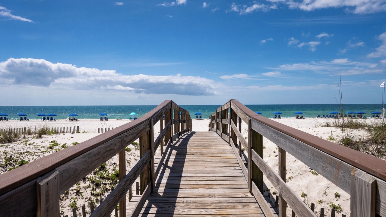 Photo of Others in Orange Beach East