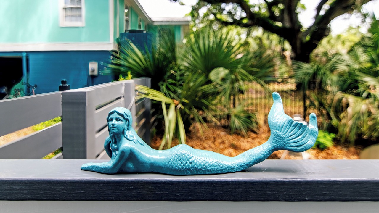 Photo of Outdoor in Edisto Island