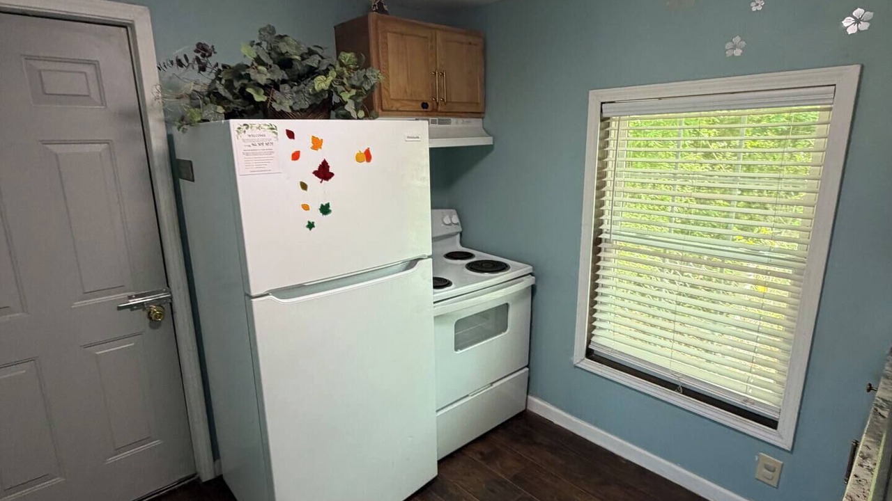 Photo of Kitchen in Kingsland