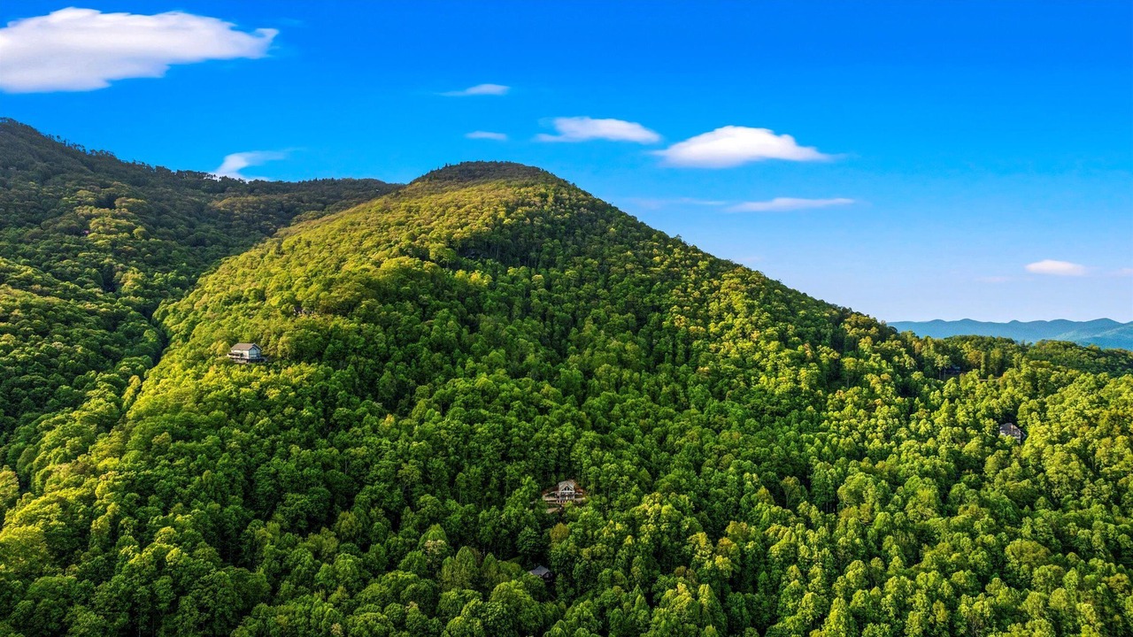 Photo of Others in Maggie Valley