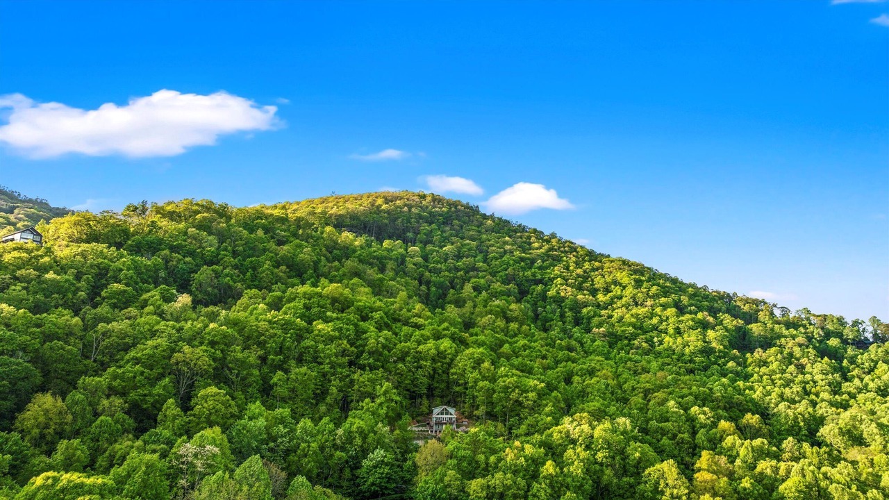 Photo of Others in Maggie Valley