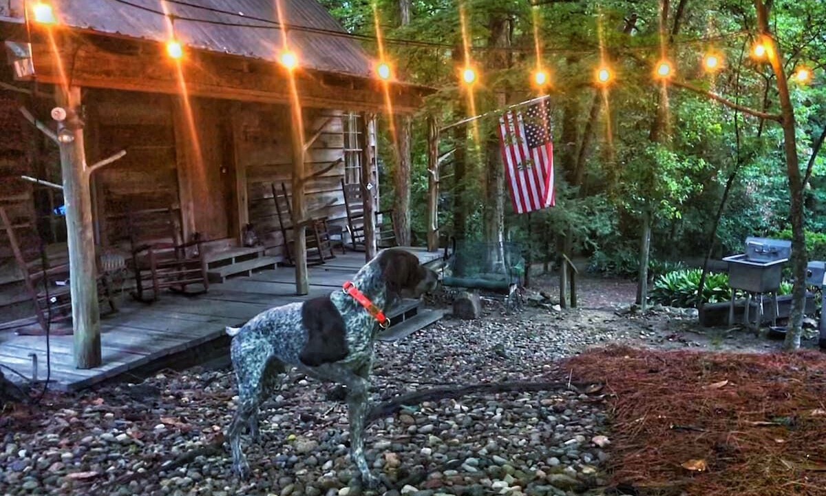 Photo of Others in Macon