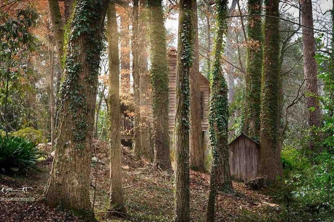 Photo of Outdoor in Macon