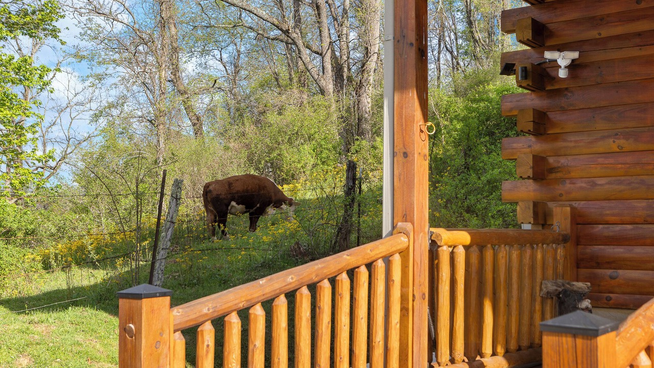 Photo of Outdoor in Waynesville